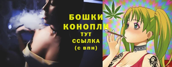 мескалин Богданович