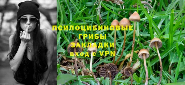 мескалин Богданович
