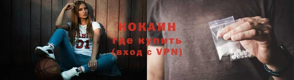 mdpv Богородск