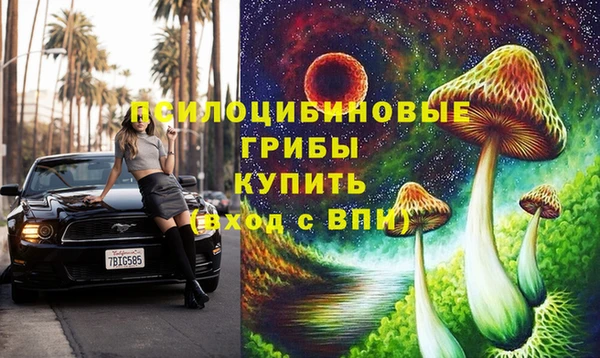 mdpv Богородск