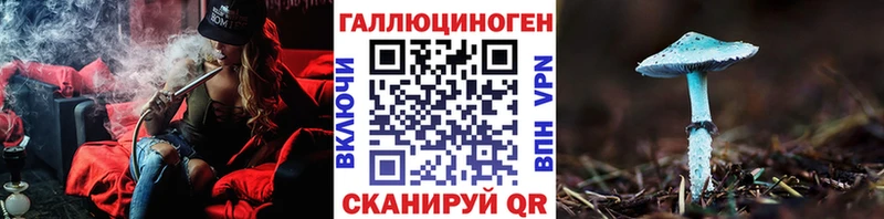 дарнет шоп  blacksprut ТОР  Псилоцибиновые грибы Psilocybine cubensis  Староминская 