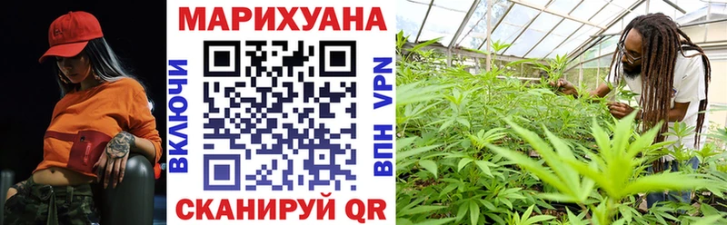 Марихуана сатива  Староминская 